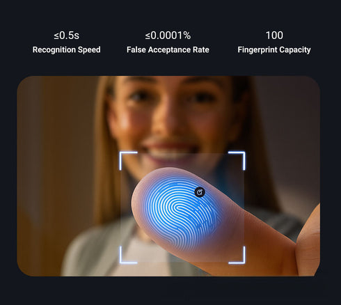Waterproof Smart Fingerprint Lock for Old Iron Doors