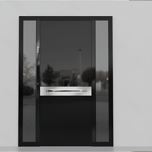 AeroShield Premium Entrance Door