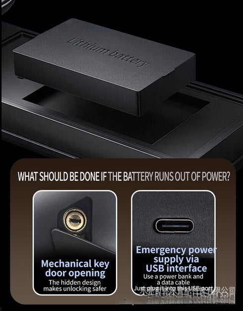 Smart Door Lock with 3D Face & Palm Vein Recognition