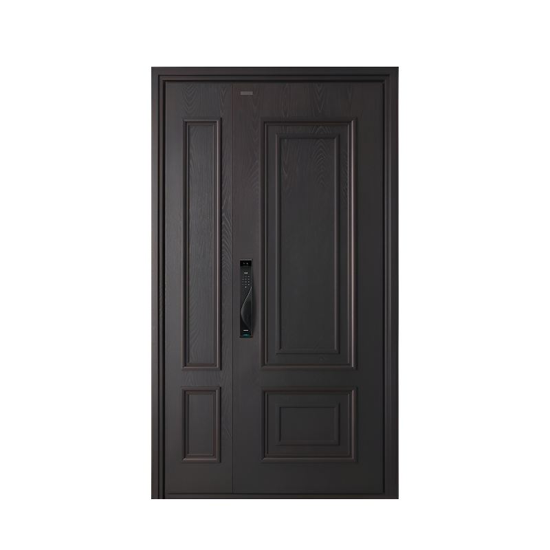 Elite Custom Copper Entry Door – AEGISDOOR